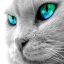 user cornel18