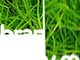 Image Transition Effect